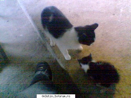 tatal catre fiu: la ora asta se vine acasa?? si in halul asta?? poza anului