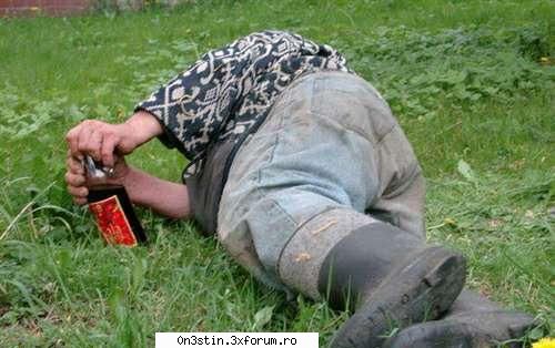 poza anului yoga