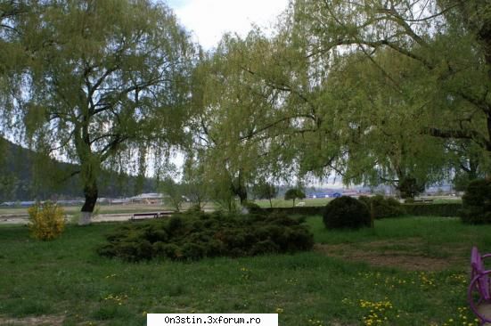 s-a dat liber poze!!! parcul
